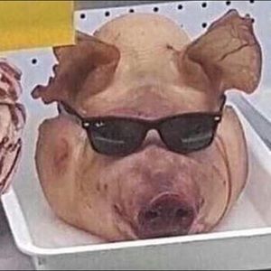 Meet your Posher, Gustavo